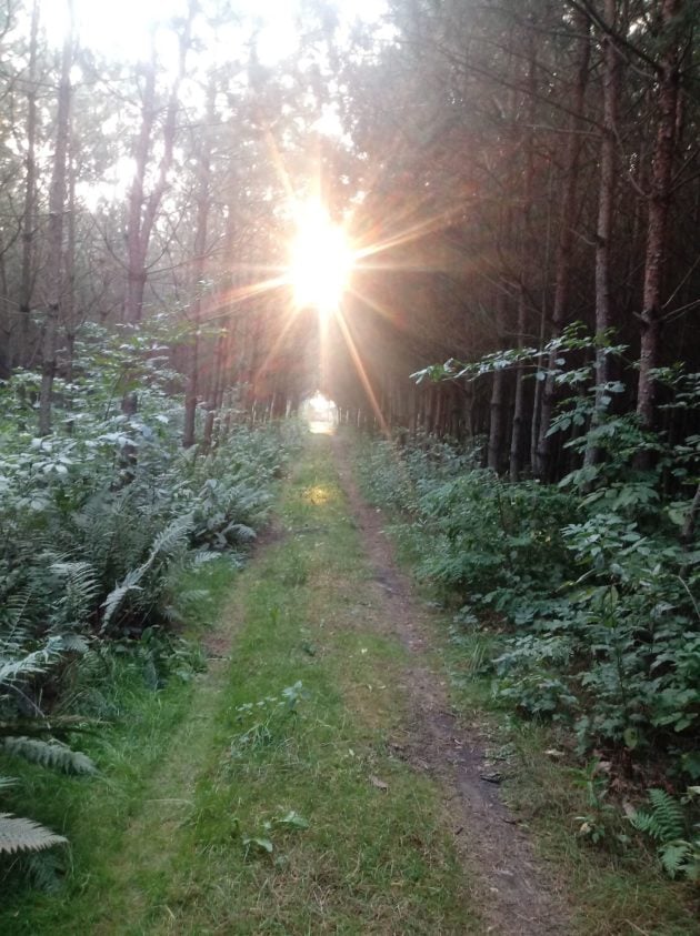 Zachód Słońca nad działką Iwony