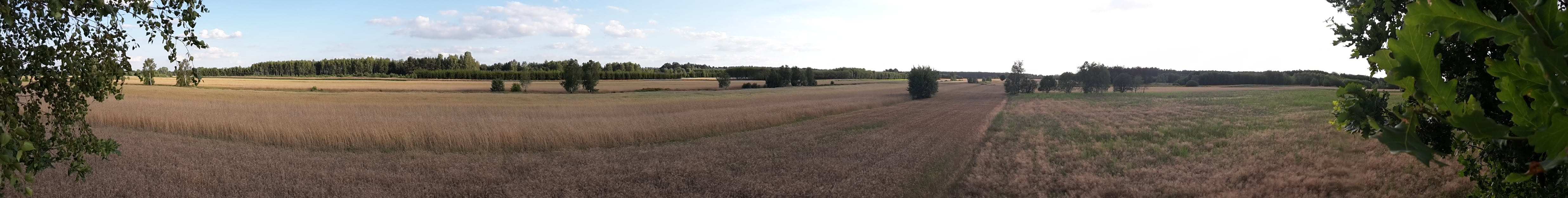Żadnej cywilizacji - widok na zachód z Osady